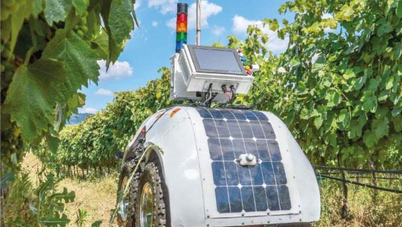 ساخت روبات کشاورز برای نظارت بر تاکستان