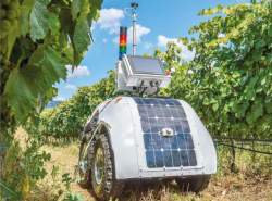 ساخت روبات کشاورز برای نظارت بر تاکستان