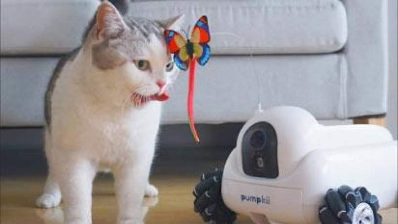 روباتی که حیوانات را سرگرم می‌کند