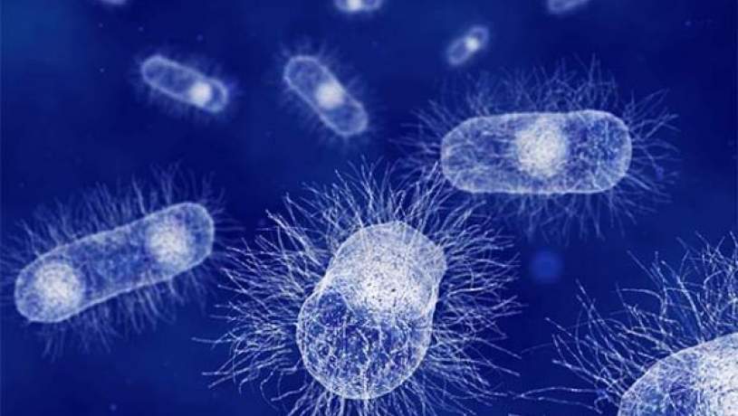 میکروب‌های خطرناک
 با هوش مصنوعی شناسایی می‌شوند