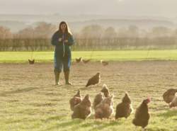 اپلیکیشنی که احساسات حیوانات را رصد می‌کند