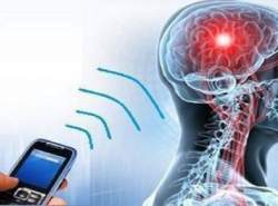 امواج موبایل روی سلولها تاثیر دارد؟ امواج موبایل روی سلولها تاثیر دارد؟