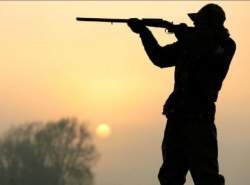 صید و شکار غیر مجاز به مصادیق محتوای مجرمانه افزوده شد صید و شکار غیر مجاز به مصادیق محتوای مجرمانه افزوده شد