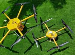 دستورالعمل پرواز پستچی‌های پرنده تدوین شد