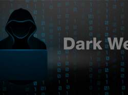 آغاز سرکوب اپراتورهای وب تاریک در پاکستان
