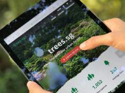 سنگاپور اینترنت درخت‌ها را تشکیل داد