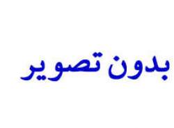 استعلام مجوزها فقط با اسکن شناسه یکتا انجام شود