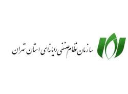 انتشار اساسنامه پیشنهادی نصر تهران منتشر شد