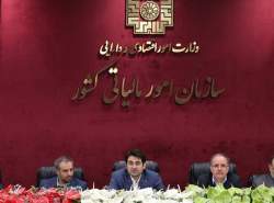 ورود سازمان مالیات به فرار مالیاتی با رمزارزها