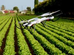 سهم تحول دیجیتال کشاورزی از تولید ناخالص داخلی پایین است